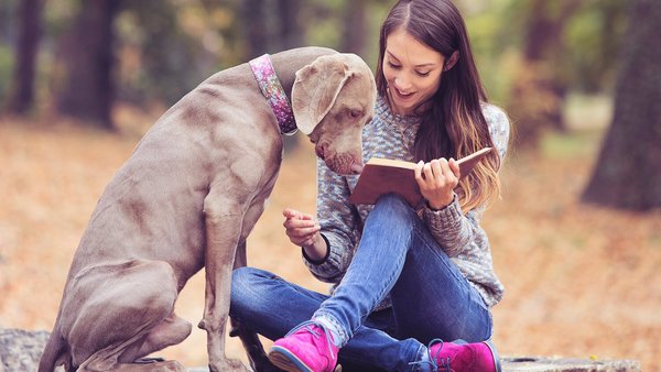 Junge Frau mit Hund liest ein Buch in der Natur beim Digital Detox