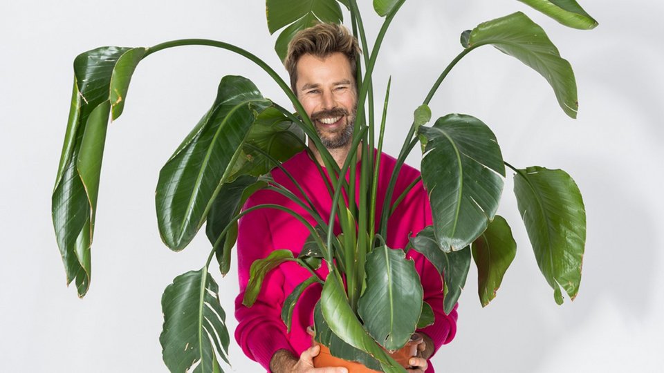 Digital detox: Contents Man holding plant in pot in front of him